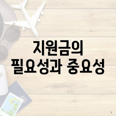 지원금의 필요성과 중요성