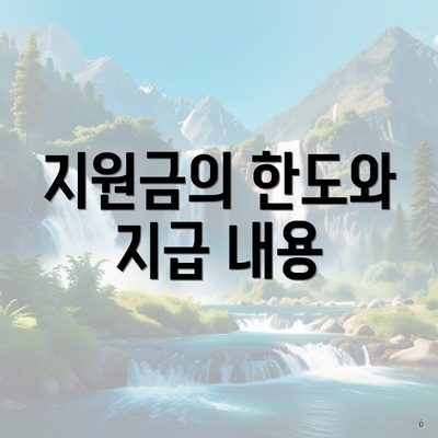 지원금의 한도와 지급 내용