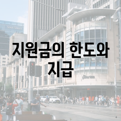 지원금의 한도와 지급