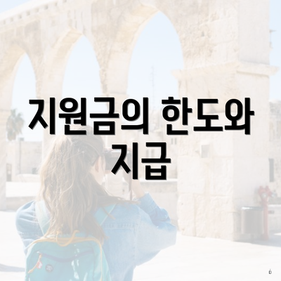 지원금의 한도와 지급