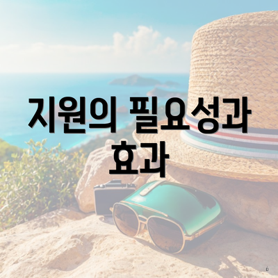 지원의 필요성과 효과