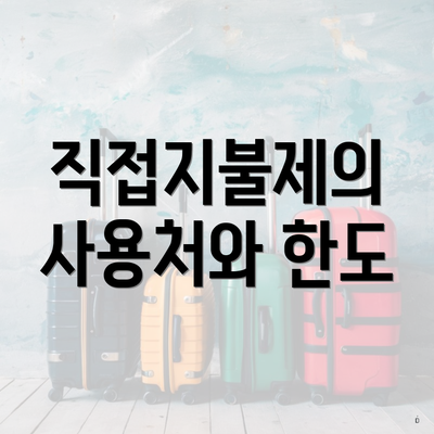 직접지불제의 사용처와 한도