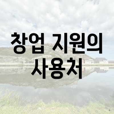 창업 지원의 사용처