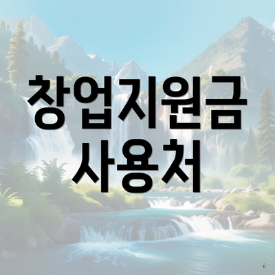 창업지원금 사용처