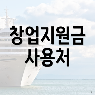 창업지원금 사용처