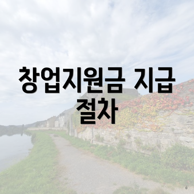 창업지원금 지급 절차