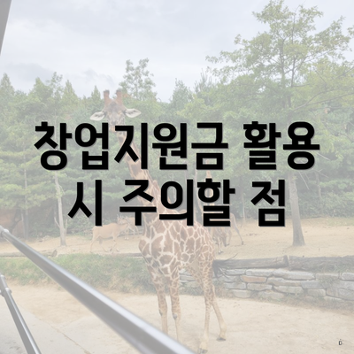 창업지원금 활용 시 주의할 점