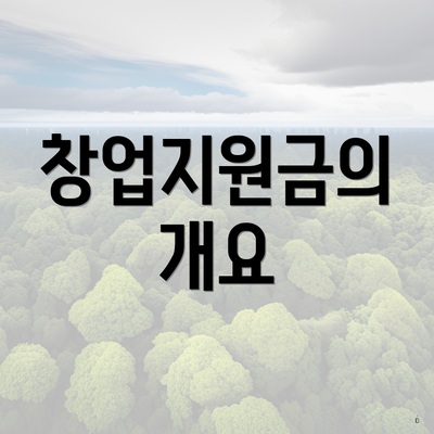 창업지원금의 개요