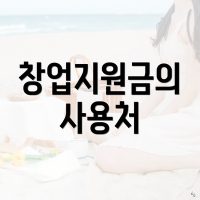 창업지원금의 사용처