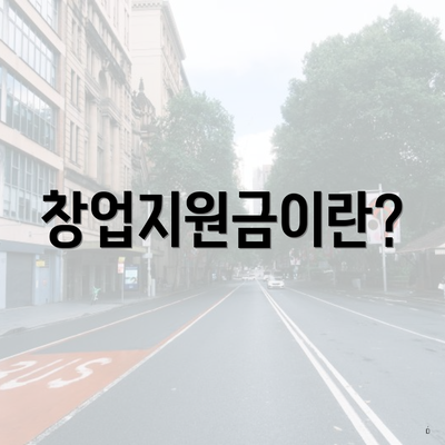 창업지원금이란?