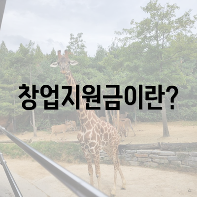 창업지원금이란?