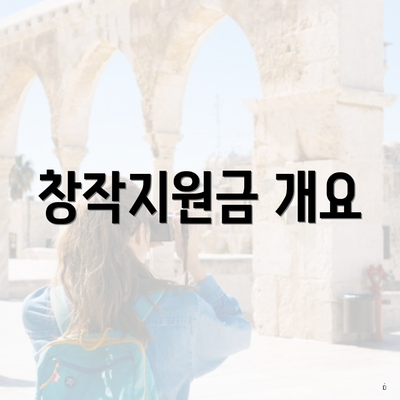 창작지원금 개요