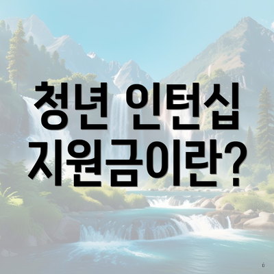 청년 인턴십 지원금이란?