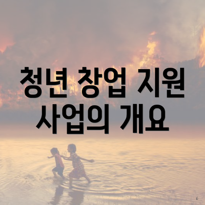 청년 창업 지원 사업의 개요