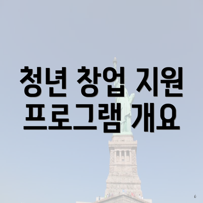 청년 창업 지원 프로그램 개요