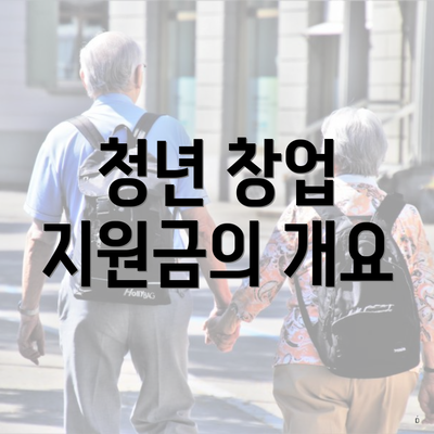 청년 창업 지원금의 개요