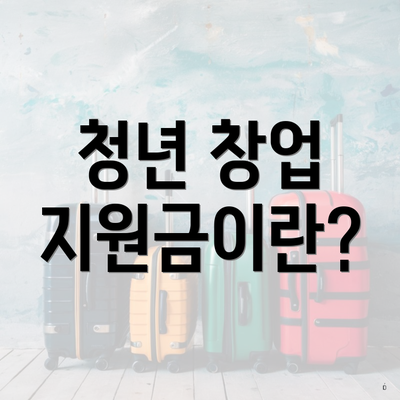 청년 창업 지원금이란?