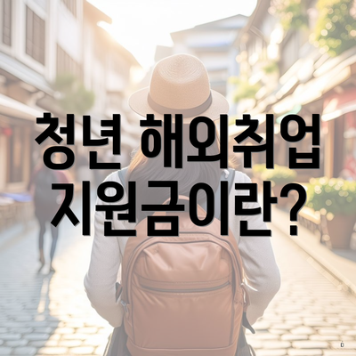 청년 해외취업 지원금이란?