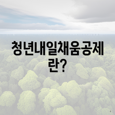 청년내일채움공제란?