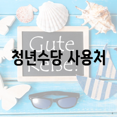 청년수당 사용처