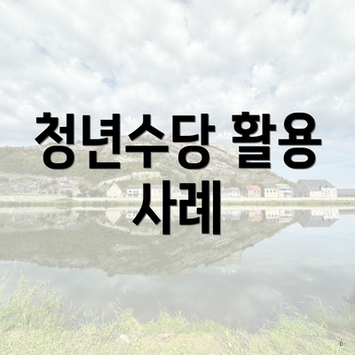 청년수당 활용 사례