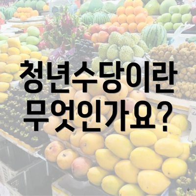 청년수당이란 무엇인가요?