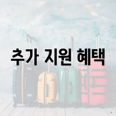 추가 지원 혜택