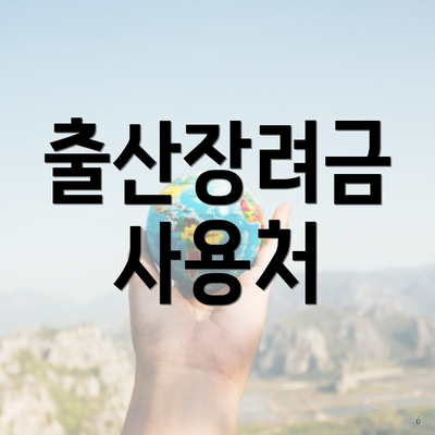 출산장려금 사용처
