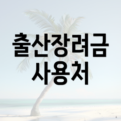 출산장려금 사용처