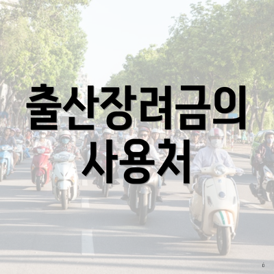 출산장려금의 사용처