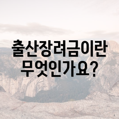 출산장려금이란 무엇인가요?