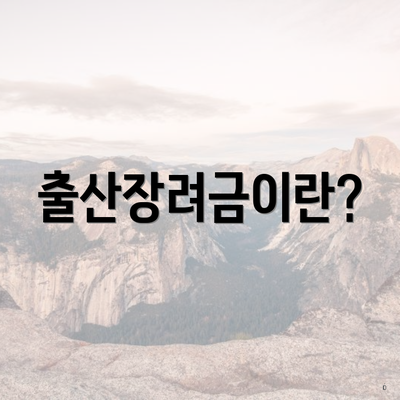 출산장려금이란?