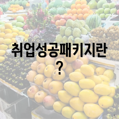 취업성공패키지란?