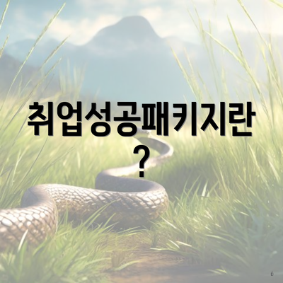 취업성공패키지란?