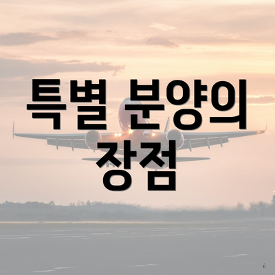 특별 분양의 장점