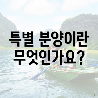 특별 분양이란 무엇인가요?