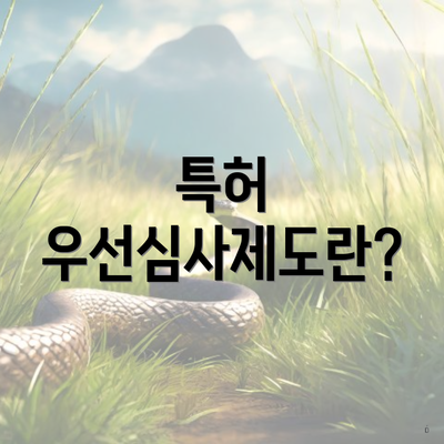 특허 우선심사제도란?