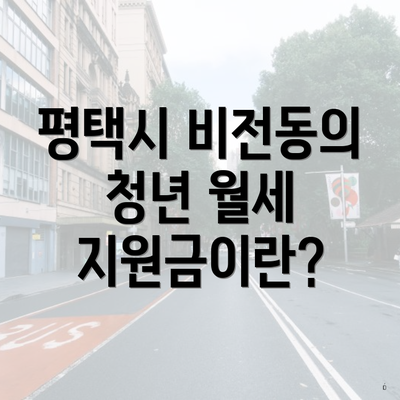 평택시 비전동의 청년 월세 지원금이란?