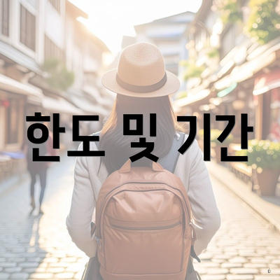 한도 및 기간