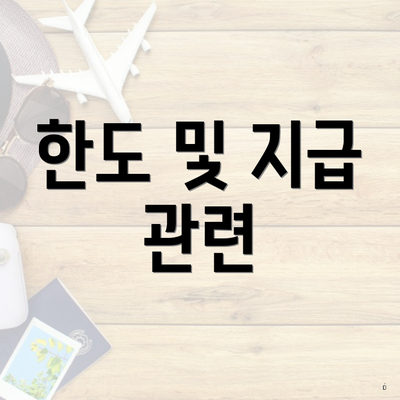 한도 및 지급 관련