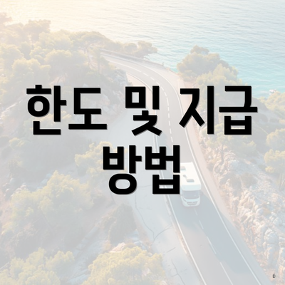 한도 및 지급 방법