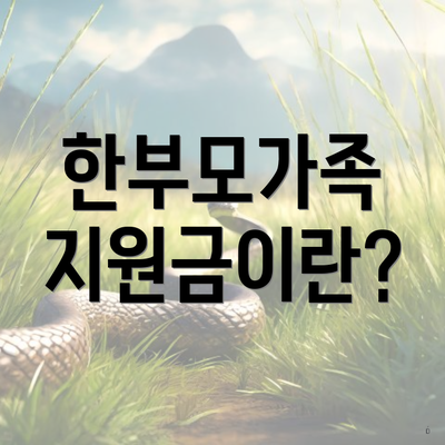 한부모가족 지원금이란?