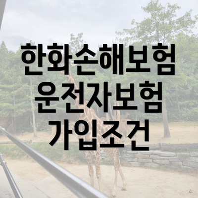 한화손해보험 운전자보험 가입조건