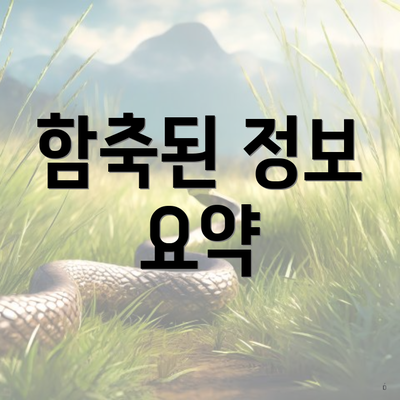 함축된 정보 요약