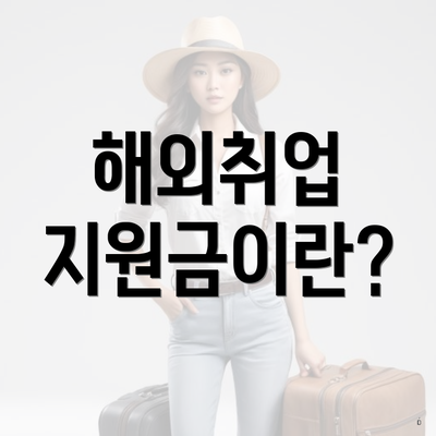 해외취업 지원금이란?