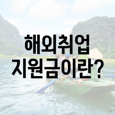 해외취업 지원금이란?