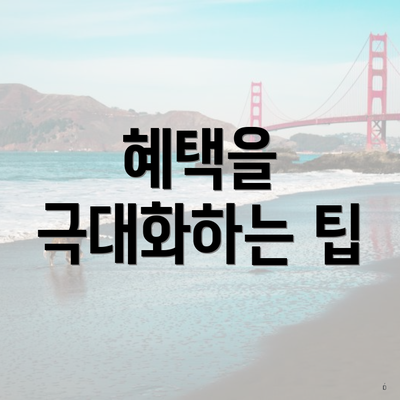 혜택을 극대화하는 팁