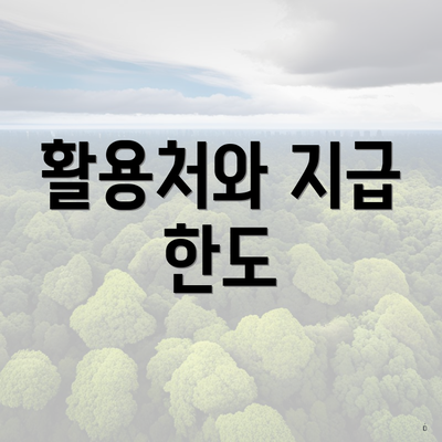 활용처와 지급 한도