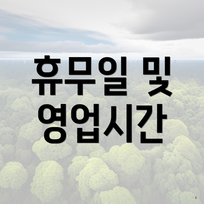 휴무일 및 영업시간