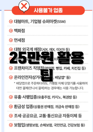 25만원 활용 팁